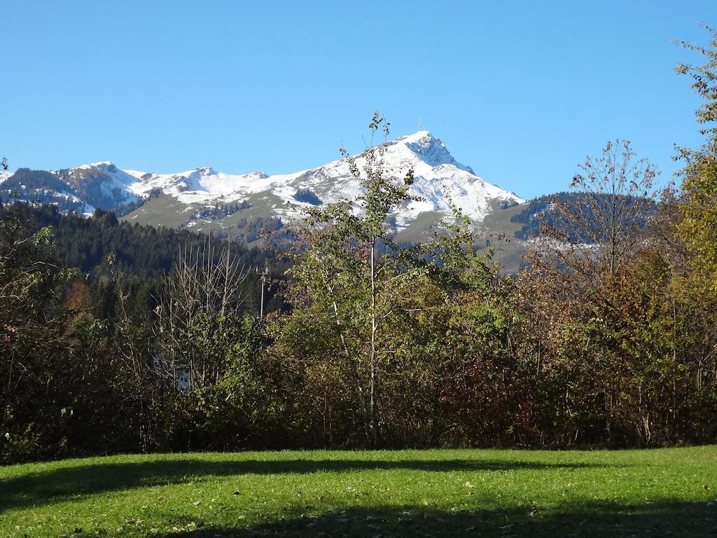 Apartamento Haus Sonnegg *